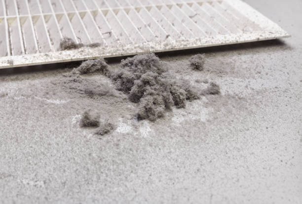 Best HVAC Duct Inspection Services  in Oasis, CA